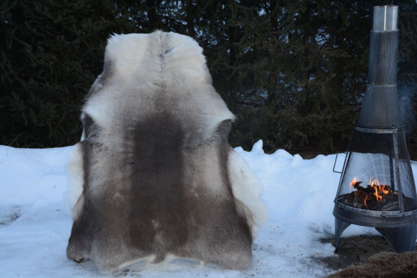 Rentierfell Black Night Sky 160cm Übergrösse